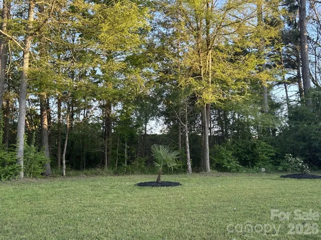 Backyard wood area