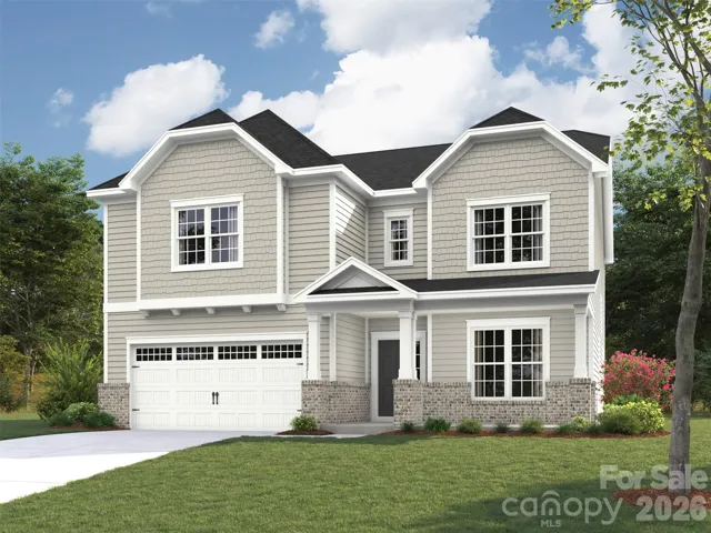 Elevation rendering only