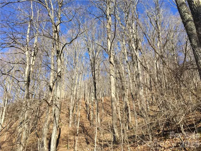 Perfect knoll to build on. Easily visible and accessible from top of neighbors driveway.