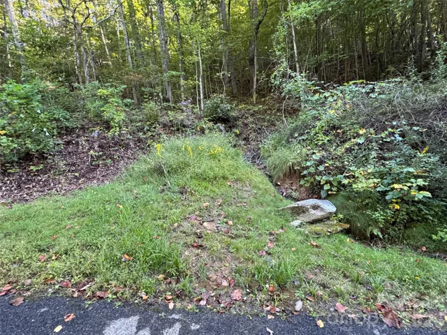 View looking up driveway, leads to graded homesite. Driveway roughed in years ago along with homesite. Both are overgrown.