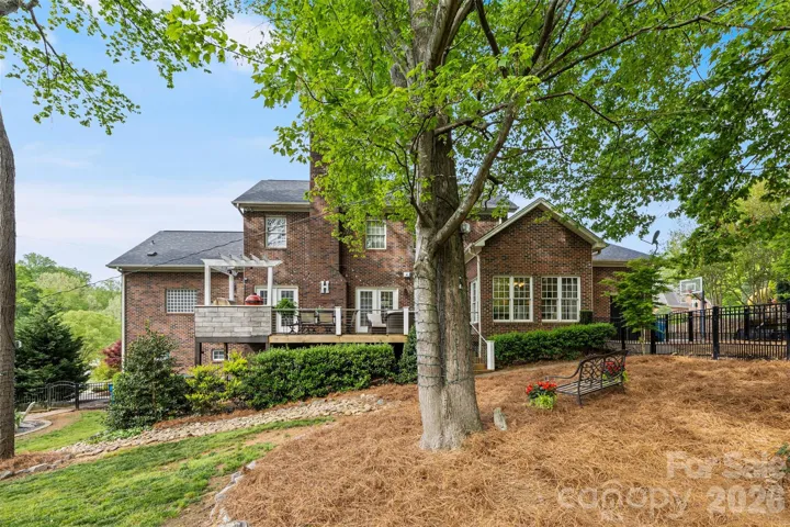 Gorgeous yard