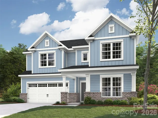 Elevation rendering only