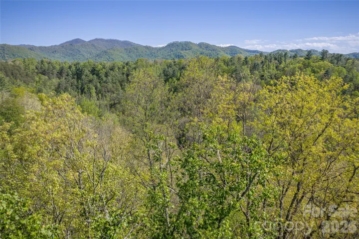 Potential Views