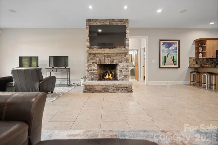 Basement Living Room