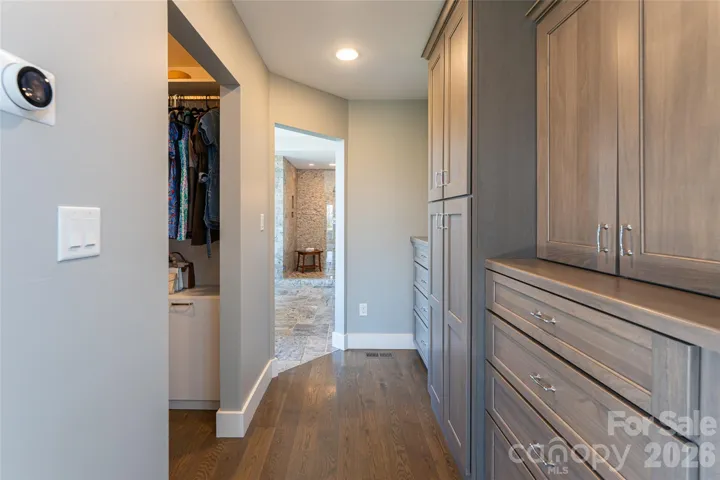 Primary closet built-ins