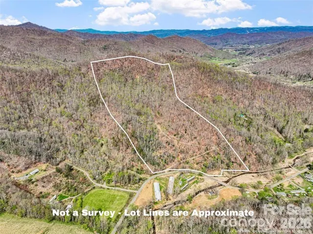Lot lines are approximate