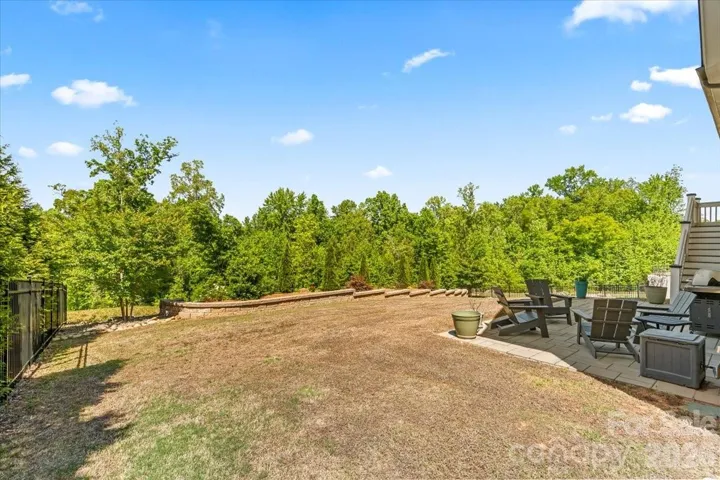 Open, flat back yard... room to play, garden, or entertain
