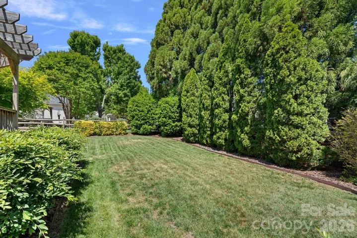 Mature green screen behind for privacy. 