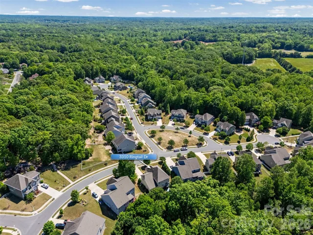 Aerial view of mature trees and pocket park across from home