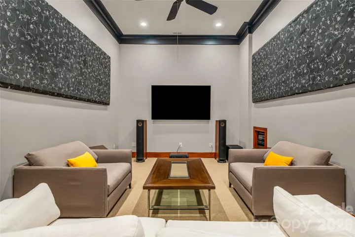 Movies/media room