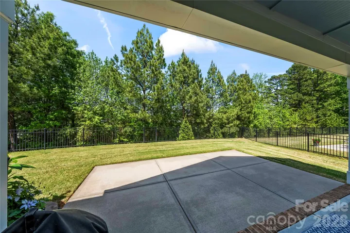 Back yard privacy