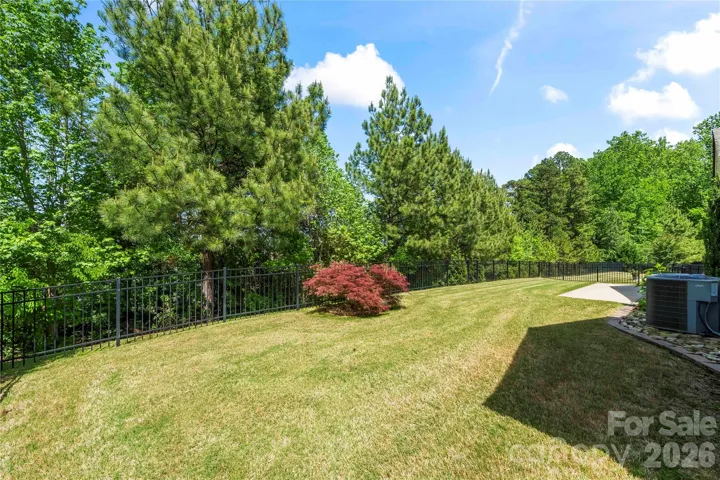 Landscaped Back Yard