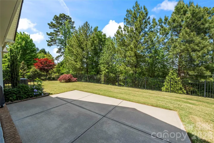 Privacy from Patio and back porch