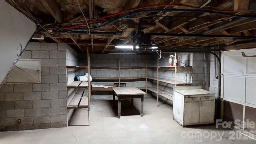 Garage Area in Basement