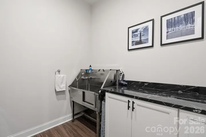 Dog Wash Station in Laundry