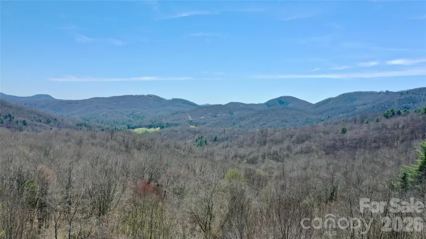 Tree top drone photo