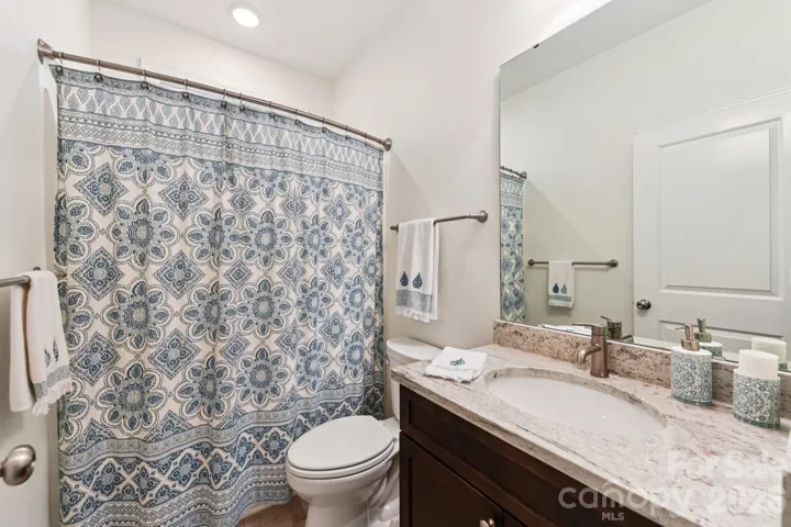 Hall bathroom