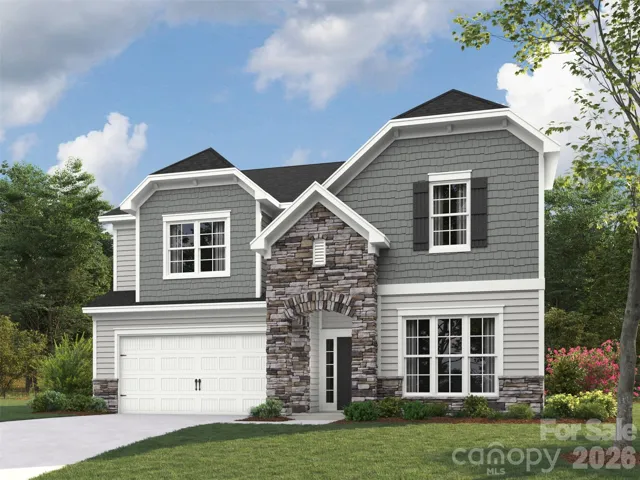 Elevation rendering only
