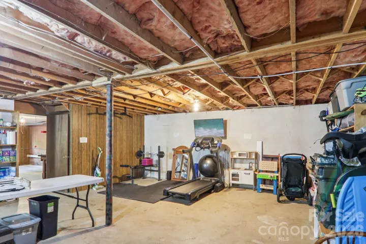 Unfinished Basement
