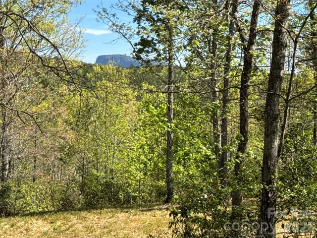 Shortoff Mountain Views