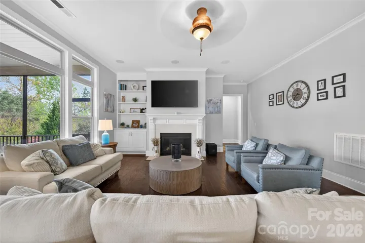 Fireplace & Built-Ins