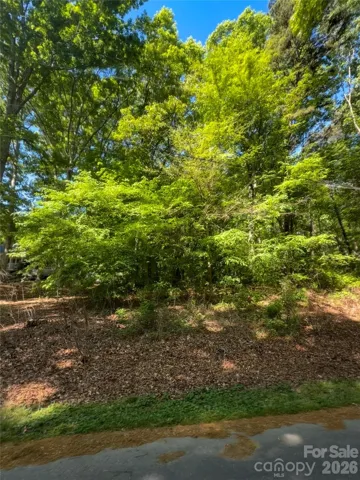 Lot from Peninsula Drive
