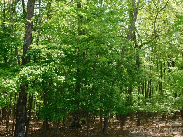 Woods border back yard for comfort and quiet.