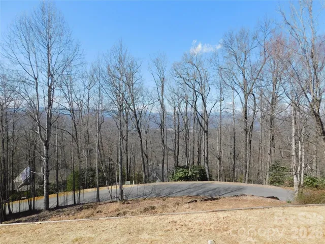 View of our beautiful Blue Ridge Mountains.