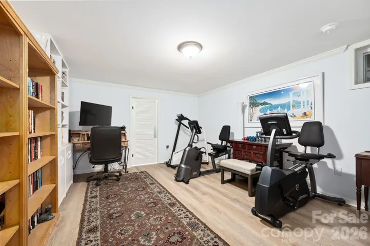 Flex Space in Basement