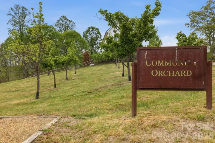 Community Orchard