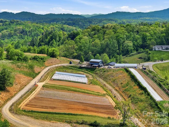 Olivette's working organic farm 