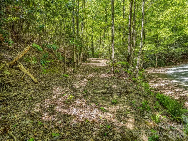 Driveway that has been roughed in to lot 414 from Lakeview Drive, which connects to an old logging road that runs up the hill almost to the back of the property.