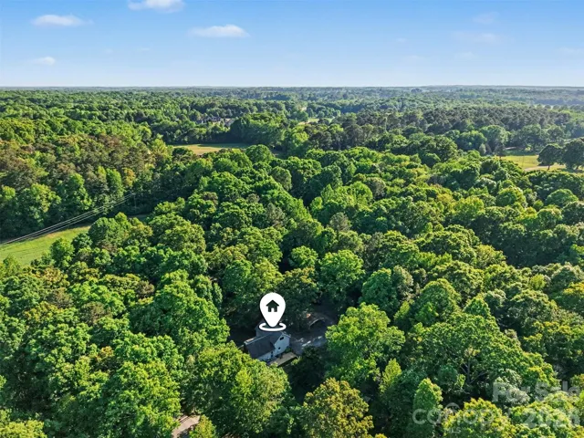 Your wooded oasis near everything