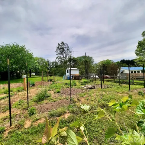 Organic garden for last 13 years