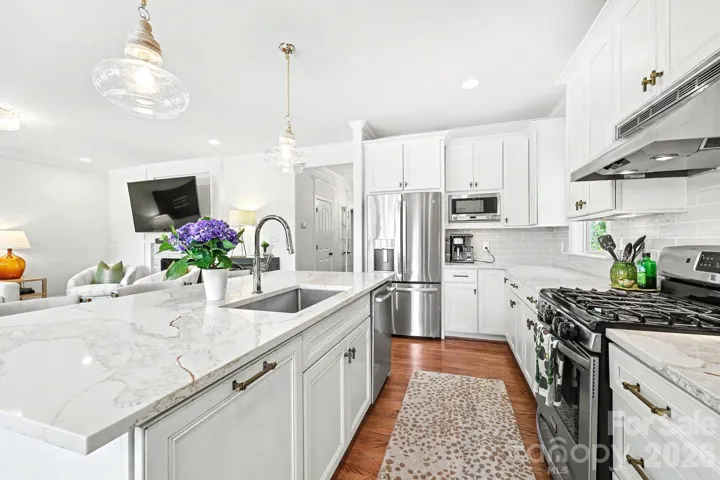Gas range and stainless appliances