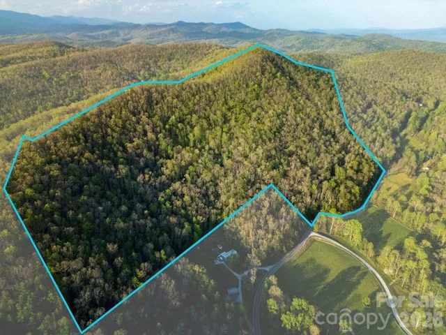 +/-44 acres w/Approx Boundary Line: To Be Surveyed
