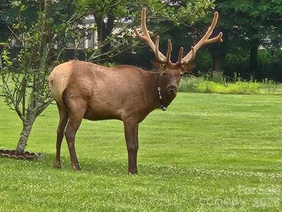 1170