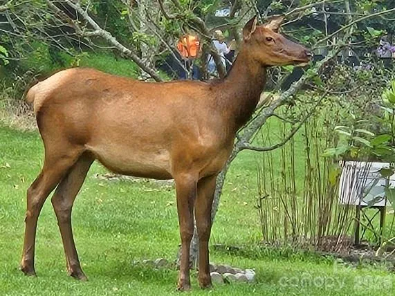 1170