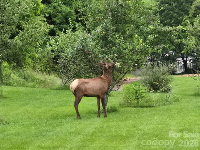 1170