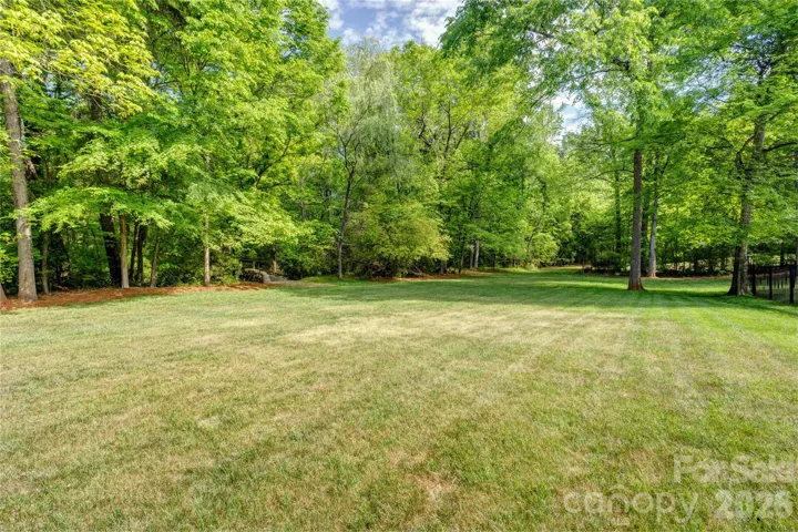 A rare blend of open and wooded