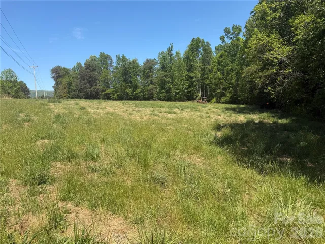 Open Field