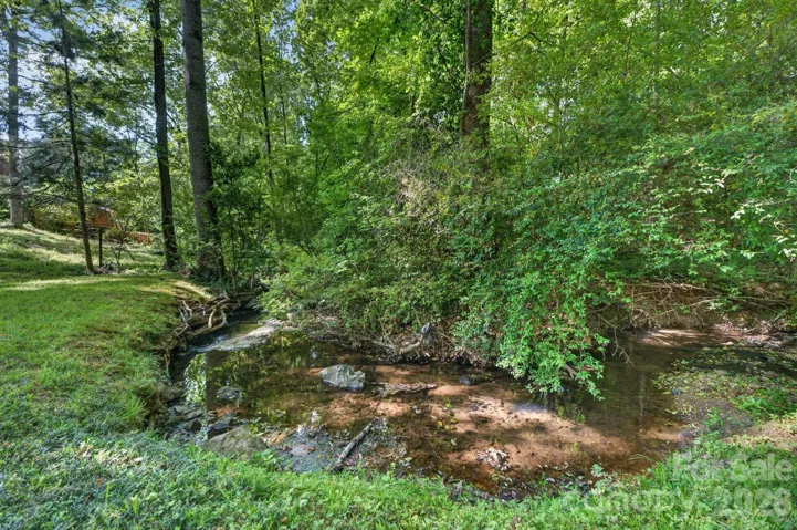 Small creek in backyard