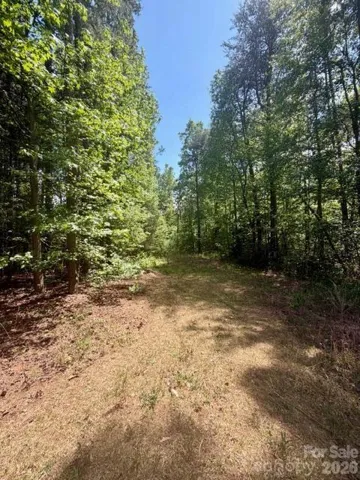 Partially cleared in middle