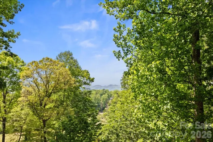 View from front deck