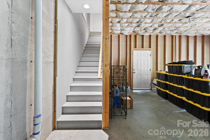 Basement stairs from interior and door from garage