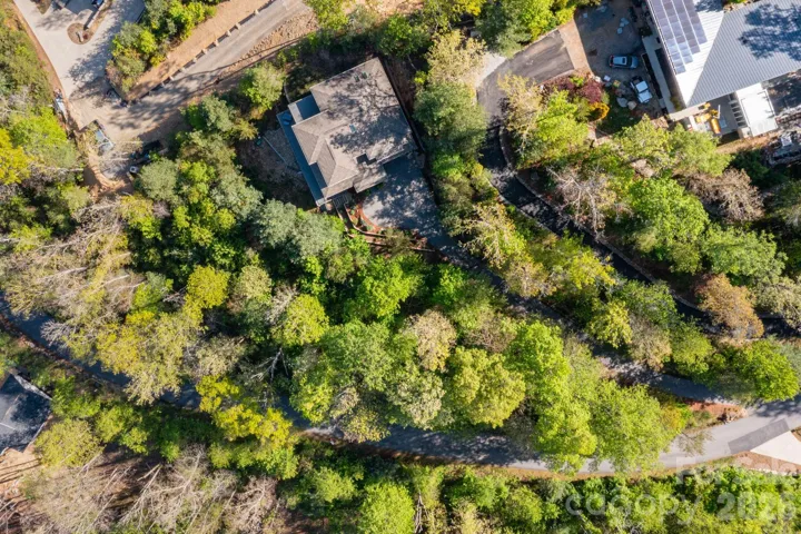 Aerial Image