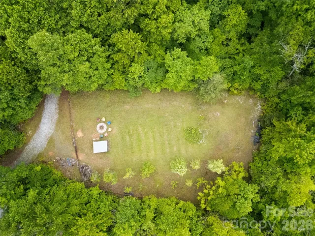 From above you see this large open meadow, with pear trees, an old vineyard, and a great shed as well. The fire pit is a wonderful spot to watch the Indian Camp Mountain stars at night. The spring run is in the woods on top, and the creek is in the woods to the right.