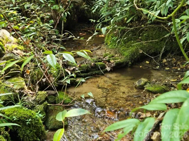 This creek runs from one side of the property to the other in the woods on the backside of the house.