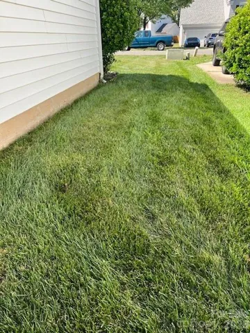 Lush Professionally Treated Grass