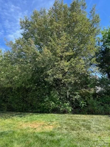 Spring/Summer Private Back Yard